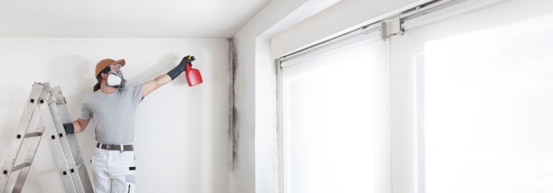Attic Mold Remediation in Essex County, NJ