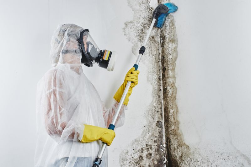 Basement Mold Removal in Fort Lauderdale, FL