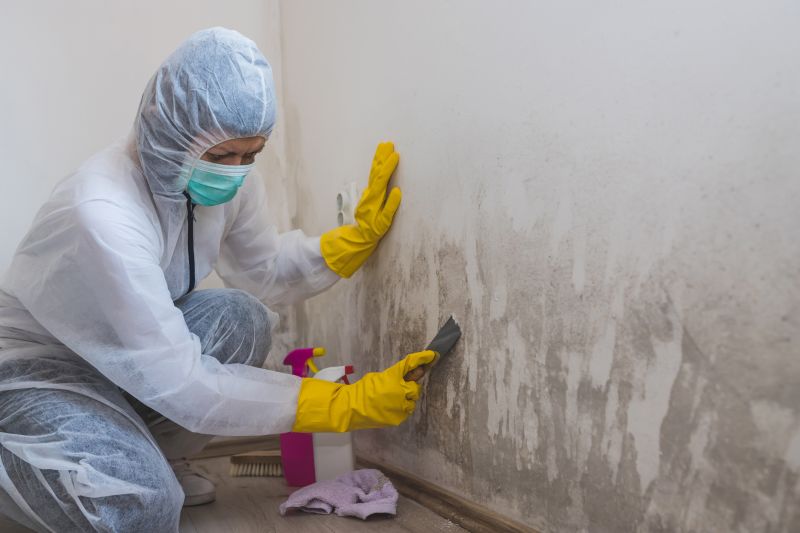 Basement Mold Removal in Fort Worth, TX