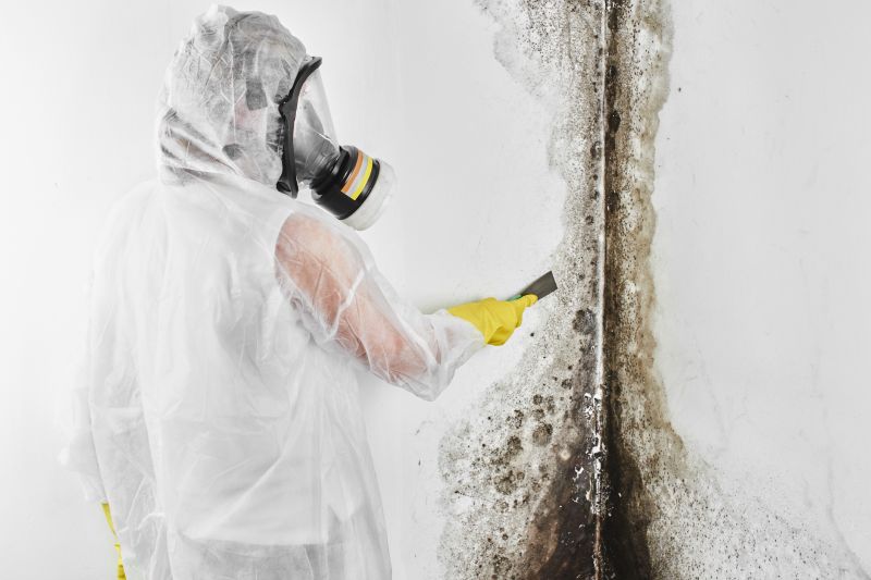 Black Mold Remediation in Fort Lauderdale, FL