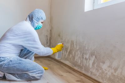 Black Mold Remediation in Fort Worth, TX