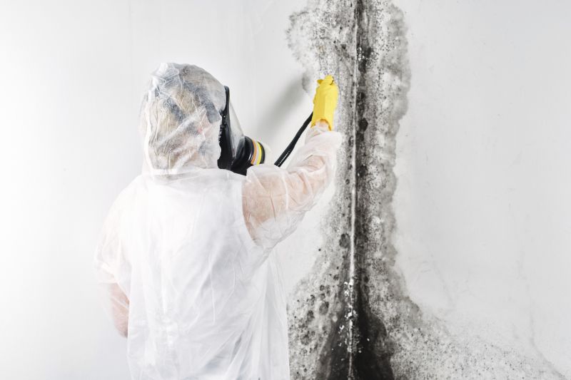 Crawlspace Mold Remediation in Bergen County, NJ