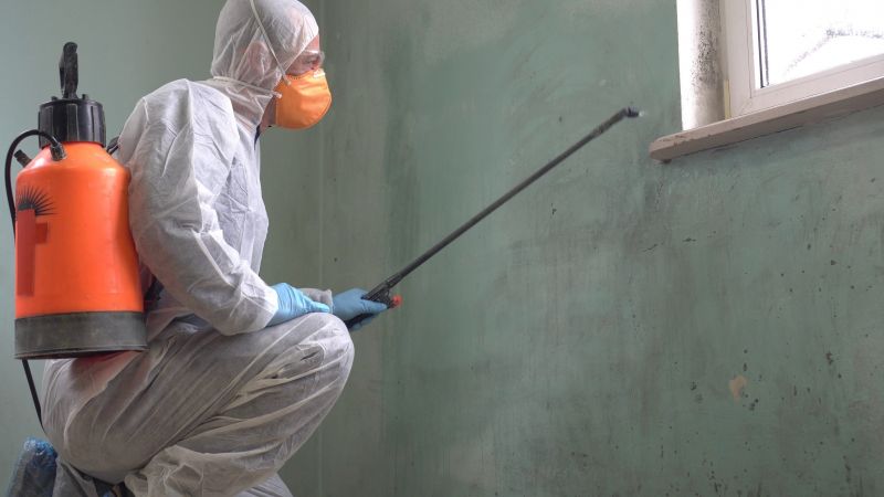 Mold Abatement in Frisco, TX