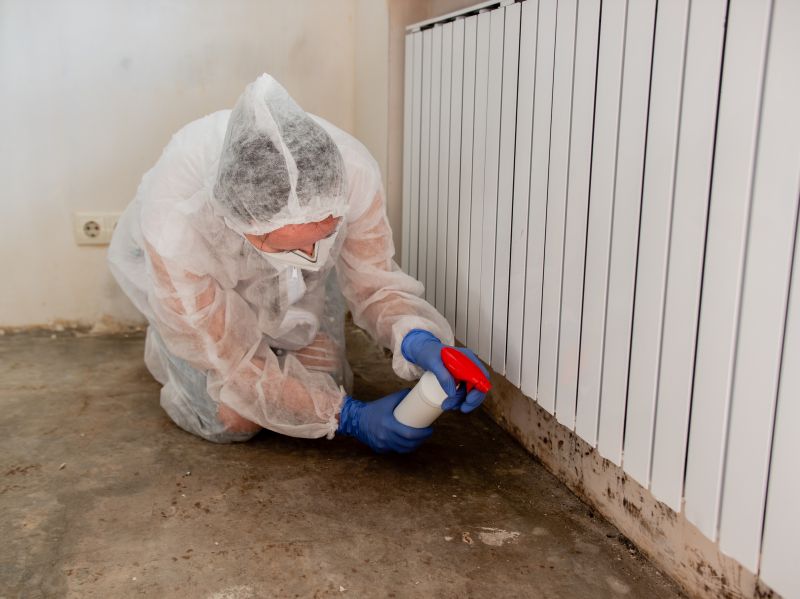 Mold Cleanup Service in West Palm Beach, FL