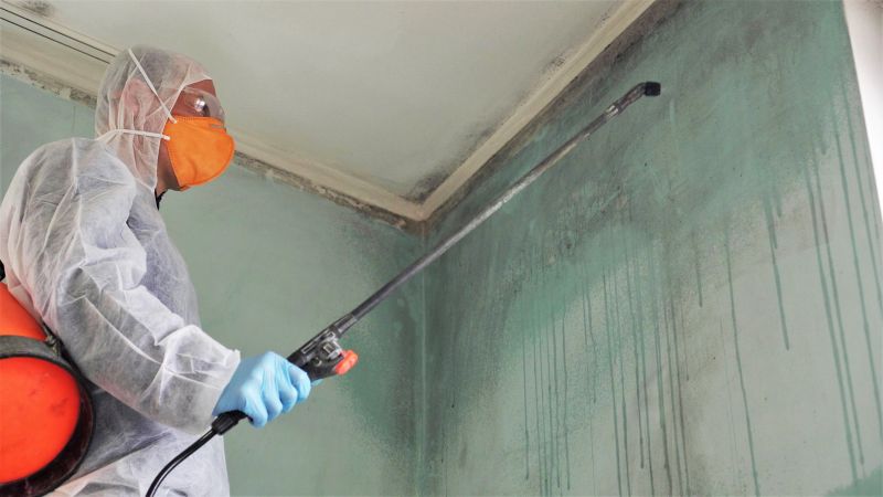 Mold Removal in Bergen County, NJ