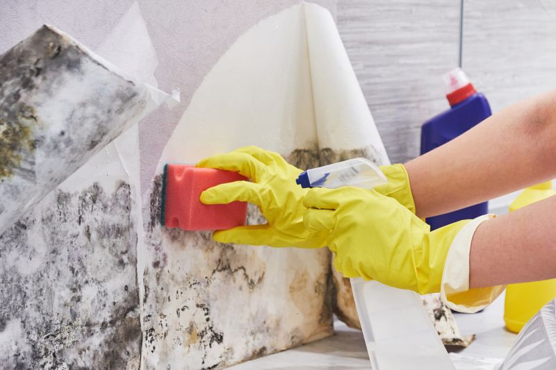 Mold Treatment Service in Fort Worth, TX