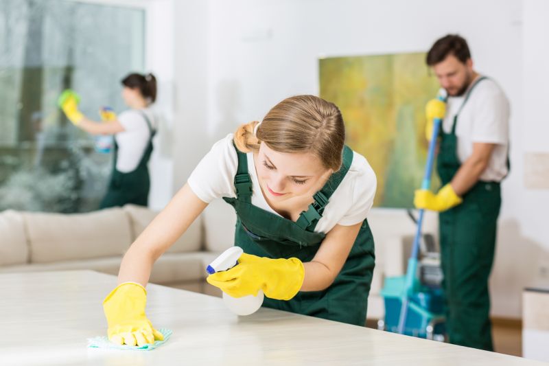Townhouse Deep Cleaning in Frisco, TX