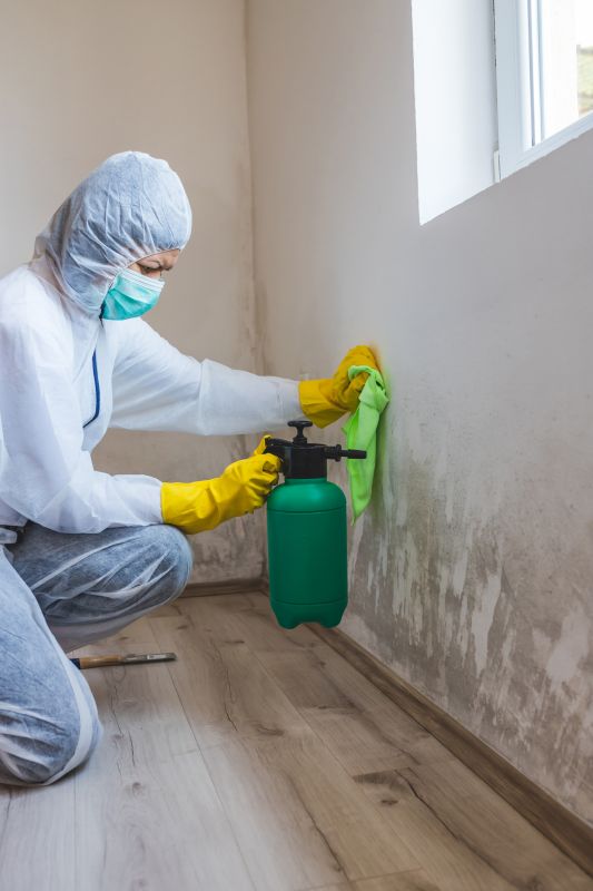 Air Duct Mold Removal in Jupiter, FL