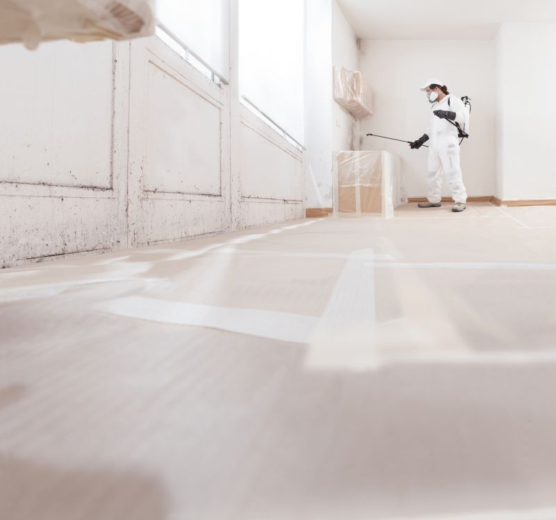 Attic Mold Removal in Boca Raton, FL