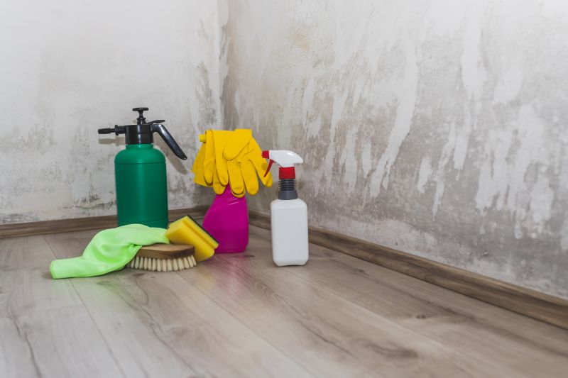 Garage Mold Remediation in Bergen County, NJ