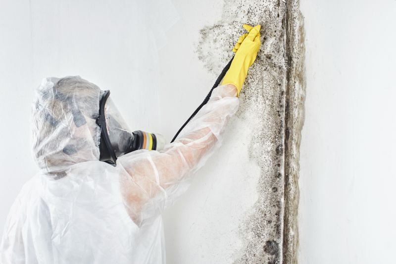 Mold Control in Fort Worth, TX